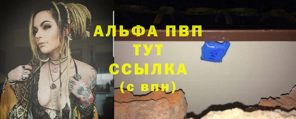 молекула духа Белоозёрский