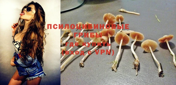 молекула духа Белоозёрский