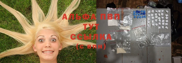 СК Белокуриха